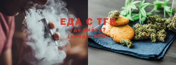 мдпв Инсар