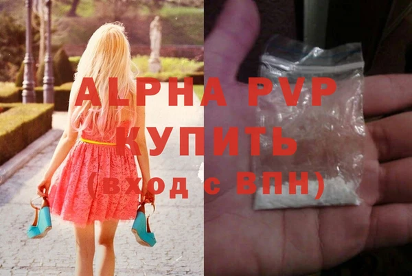 прущие крисы Инта
